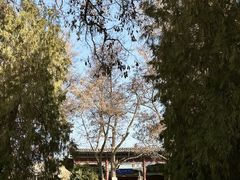 -张掖大佛寺景区