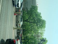 -中国公安部总部大楼