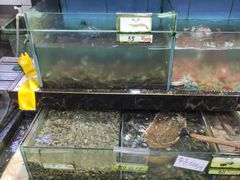 -考记泥焗鸡农庄·海鲜(北洛秘境店)