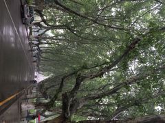 iphone_upload_pic-东南大学(九龙湖校区)