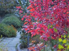 -云峰山自然风景区