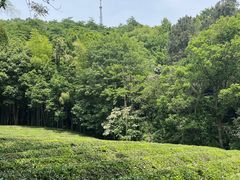 -敬亭山风景名胜区