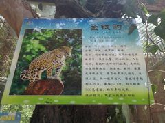 -贵州森林野生动物园