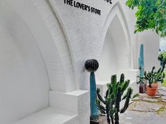 -西涌国际滨海旅游区