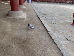 -景福宫