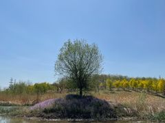 -马家湾湿地公园