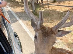 -秦皇岛野生动物园