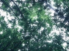 -同里国家湿地公园