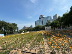 -中国农业博物馆