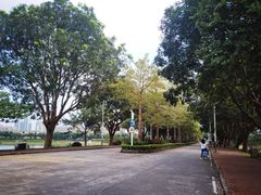 -风云岭森林公园