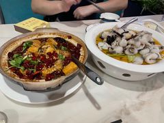 -丁老爷子苏香圆