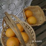 误入乐山大佛脚下的田园咖啡馆