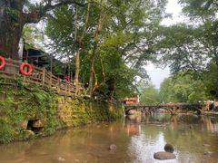 -雅安上里古镇