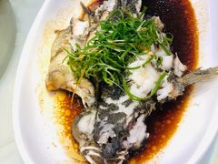-海晖酒楼·顺德鱼生(荣华店)