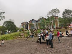 -铁山坪森林公园