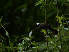 -新江湾城公园