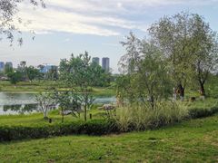 -桂溪生态公园