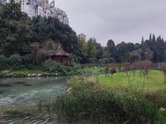 -温江公园