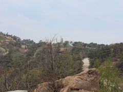 -鲁山国家森林公园