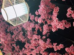 -九田家黑牛烤肉料理·自助(洪洞县城市花园店)
