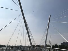-映月湖中央公园