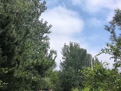 -日照海滨国家森林公园