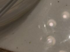 -洪氏嗨捞·猪肚鸡火锅(阳光天地店)