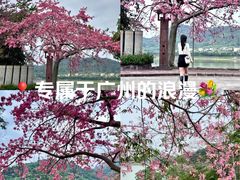 -风云岭森林公园
