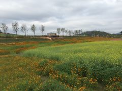 -光明小镇欢乐田园