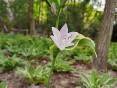 -上海公共交通卡服务中心(九江路营业部)