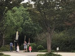 -新江湾城公园