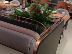 -老板恋上鱼(恒隆广场店)