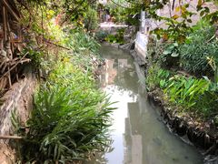-小洲村