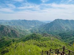 -大岭沟猕猴桃谷风景区
