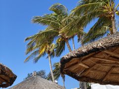 -亚龙湾海底世界