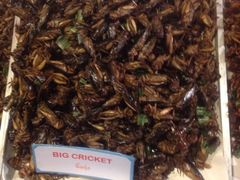 iphone_upload_pic-周日夜市