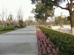 -圩墩遗址公园