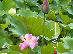 -黄兴公园