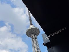 -龙塔