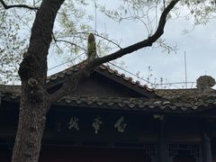 -白帝城·瞿塘峡景区