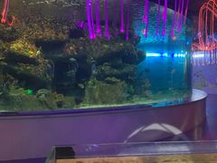 -沙沙哗啦海洋馆(华宇百花谷店)