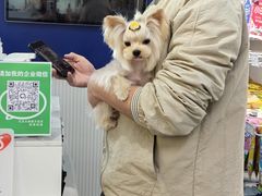 -它主义宠物(梁溪万达店)