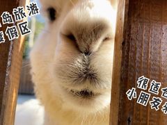 -太阳岛旅游度假区