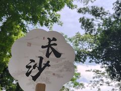 -茶颜悦色(岳麓山顶店)