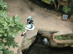 -南山植物园
