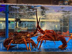 -上和臻品中国菜(花园街店)