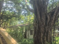 -碧水湾温泉