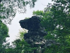 -拙政园