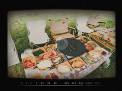 -海堤葡萄园中小学生研学基地