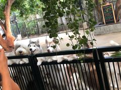 -TrueLove @ Neverland (Husky Cafe)